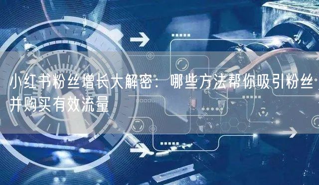 小红书粉丝增长大解密：哪些方法帮你吸引粉丝并购买有效流量