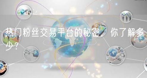 热门粉丝交易平台的秘密，你了解多少？