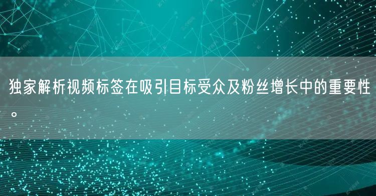 独家解析视频标签在吸引目标受众及粉丝增长中的重要性。