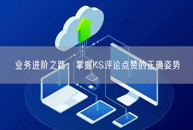 业务进阶之路：掌握KS评论点赞的正确姿势