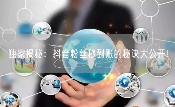 独家揭秘：抖音粉丝秒到账的秘诀大公开！
