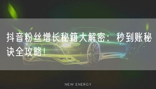 抖音粉丝增长秘籍大解密：秒到账秘诀全攻略！