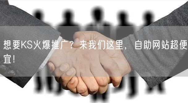想要KS火爆推广？来我们这里，自助网站超便宜！