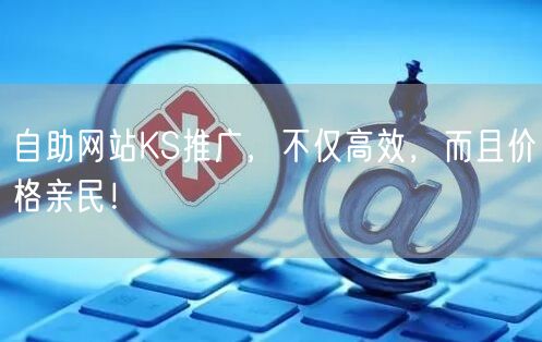 自助网站KS推广，不仅高效，而且价格亲民！