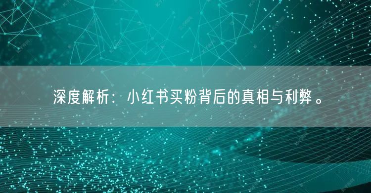 深度解析：小红书买粉背后的真相与利弊。