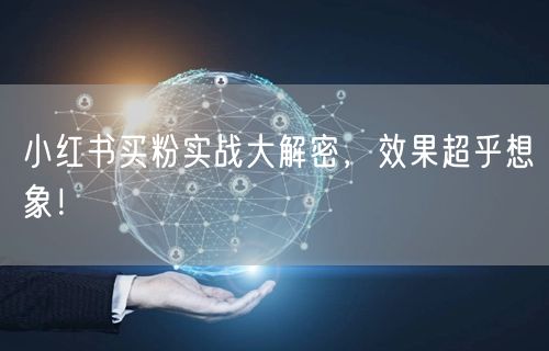 小红书买粉实战大解密，效果超乎想象！