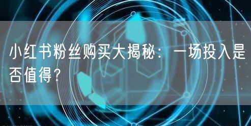 小红书粉丝购买大揭秘：一场投入是否值得？