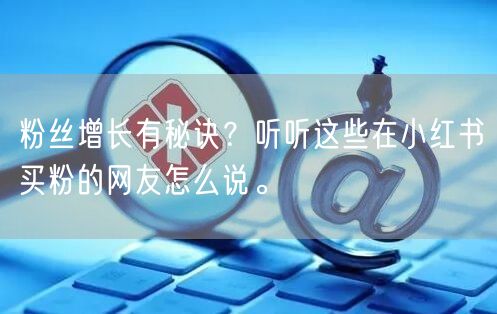 粉丝增长有秘诀？听听这些在小红书买粉的网友怎么说。