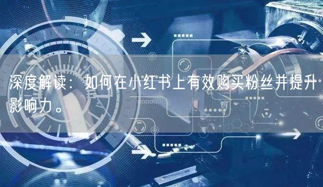 深度解读：如何在小红书上有效购买粉丝并提升影响力。