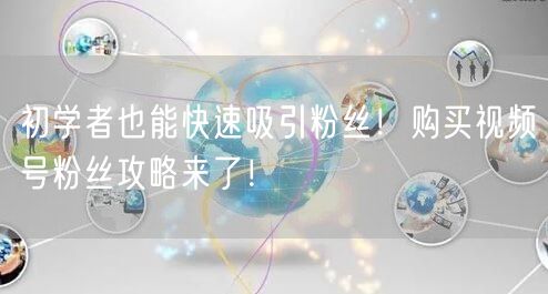 初学者也能快速吸引粉丝！购买视频号粉丝攻略来了！