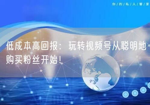 低成本高回报：玩转视频号从聪明地购买粉丝开始！