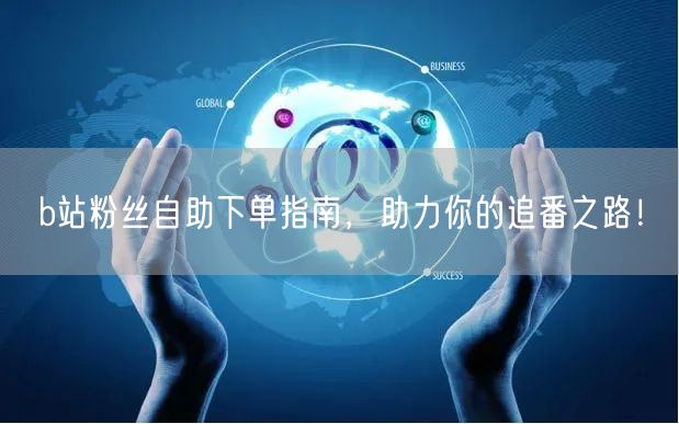 b站粉丝自助下单指南，助力你的追番之路！