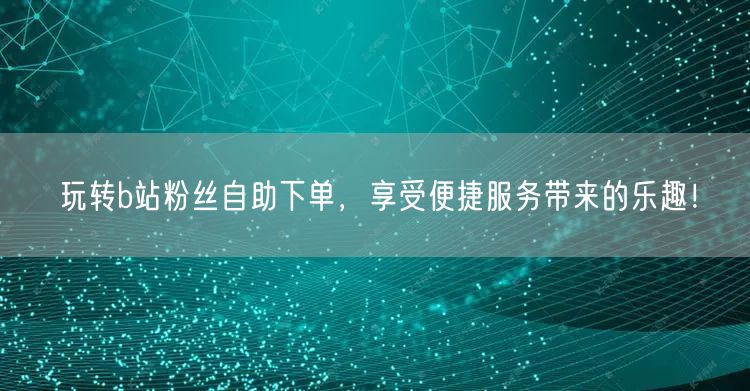 玩转b站粉丝自助下单，享受便捷服务带来的乐趣！