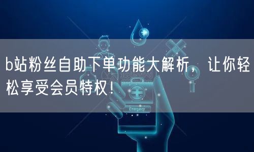 b站粉丝自助下单功能大解析，让你轻松享受会员特权！