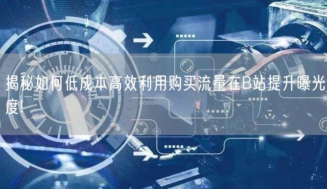 揭秘如何低成本高效利用购买流量在B站提升曝光度!
