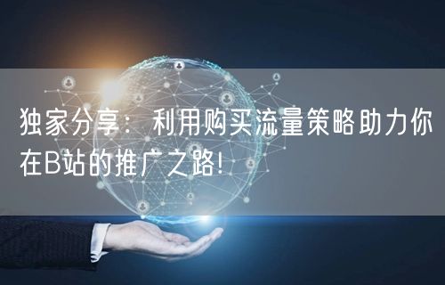独家分享：利用购买流量策略助力你在B站的推广之路!