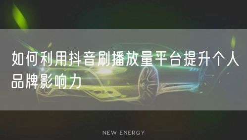 如何利用抖音刷播放量平台提升个人品牌影响力