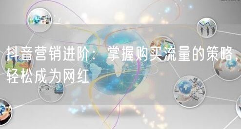 抖音营销进阶：掌握购买流量的策略，轻松成为网红