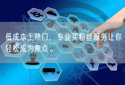 低成本上热门，专业买粉丝服务让你轻松成为焦点。