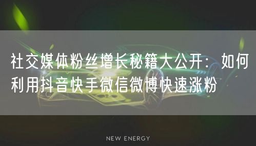 社交媒体粉丝增长秘籍大公开：如何利用抖音快手微信微博快速涨粉