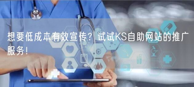 想要低成本有效宣传？试试KS自助网站的推广服务！