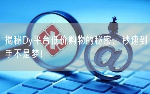 揭秘Dy平台低价购物的秘密，秒速到手不是梦！