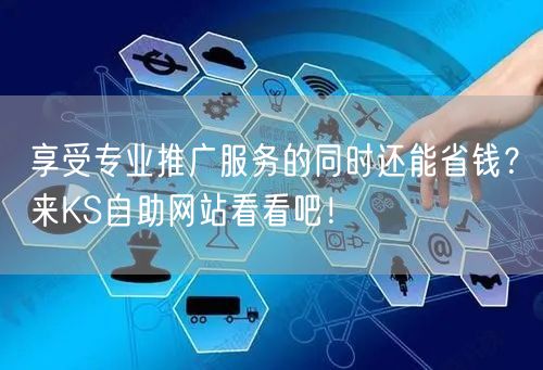 享受专业推广服务的同时还能省钱？来KS自助网站看看吧！
