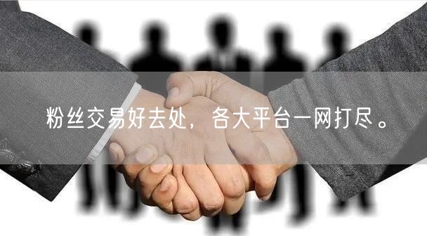 粉丝交易好去处，各大平台一网打尽。
