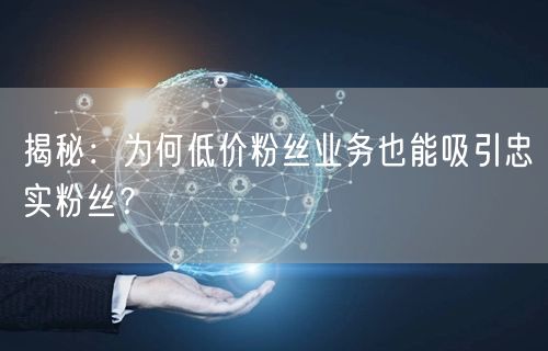 揭秘：为何低价粉丝业务也能吸引忠实粉丝？