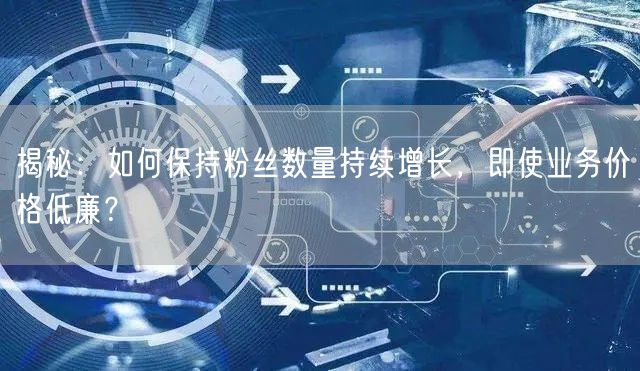 揭秘：如何保持粉丝数量持续增长，即使业务价格低廉？