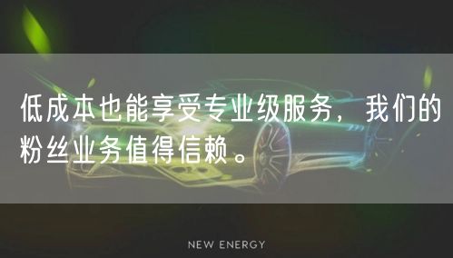 低成本也能享受专业级服务，我们的粉丝业务值得信赖。