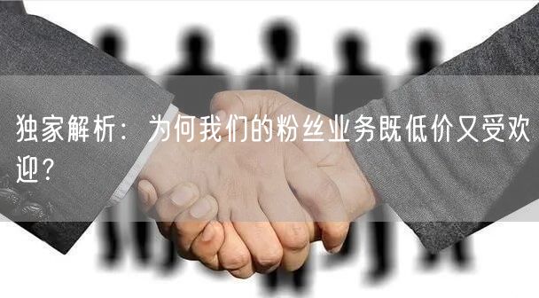 独家解析：为何我们的粉丝业务既低价又受欢迎？