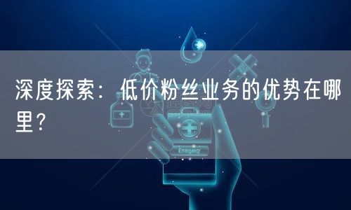 深度探索：低价粉丝业务的优势在哪里？