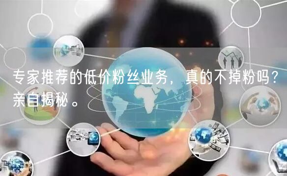 专家推荐的低价粉丝业务，真的不掉粉吗？亲自揭秘。
