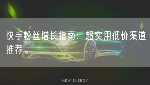 快手粉丝增长指南：超实用低价渠道推荐。