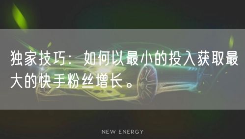 独家技巧：如何以最小的投入获取最大的快手粉丝增长。