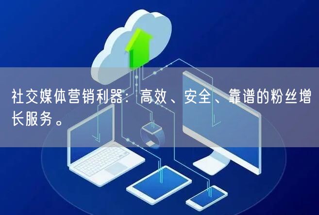 社交媒体营销利器：高效、安全、靠谱的粉丝增长服务。