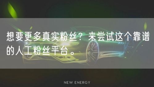 想要更多真实粉丝？来尝试这个靠谱的人工粉丝平台。