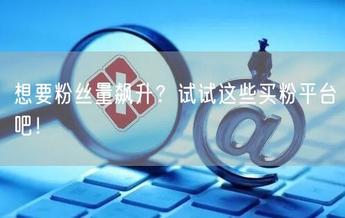 想要粉丝量飙升？试试这些买粉平台吧！