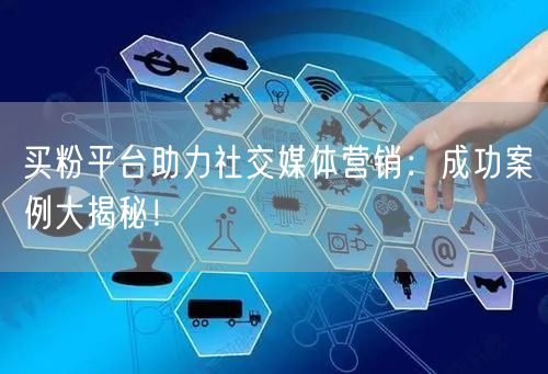 买粉平台助力社交媒体营销：成功案例大揭秘！