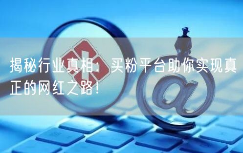 揭秘行业真相：买粉平台助你实现真正的网红之路！