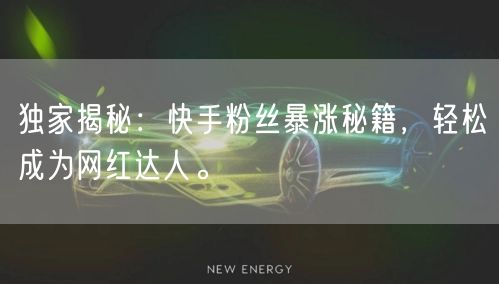 独家揭秘：快手粉丝暴涨秘籍，轻松成为网红达人。