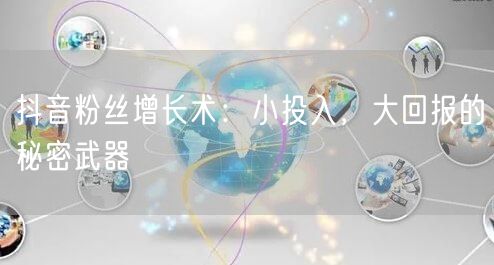 抖音粉丝增长术：小投入，大回报的秘密武器