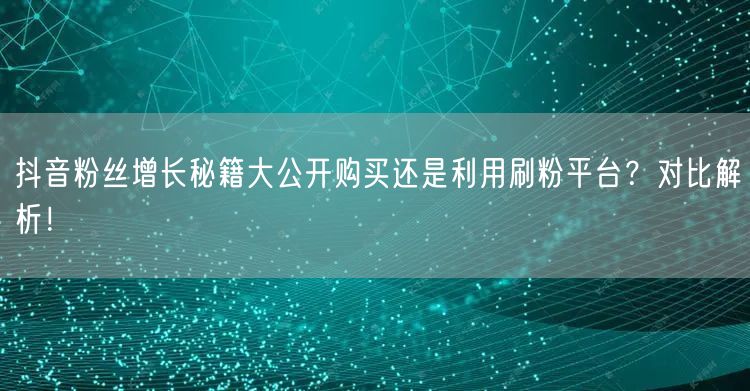 抖音粉丝增长秘籍大公开购买还是利用刷粉平台？对比解析！