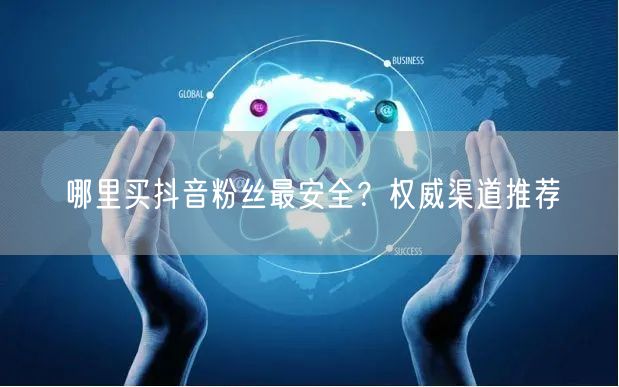 哪里买抖音粉丝最安全？权威渠道推荐