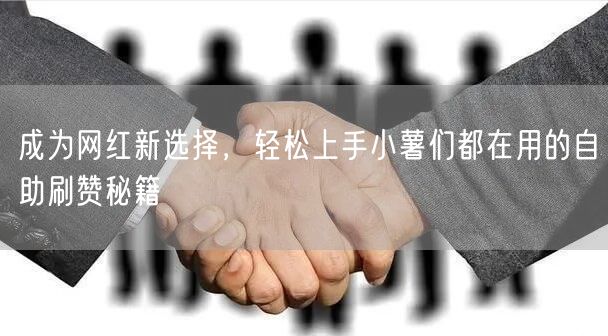 成为网红新选择，轻松上手小薯们都在用的自助刷赞秘籍