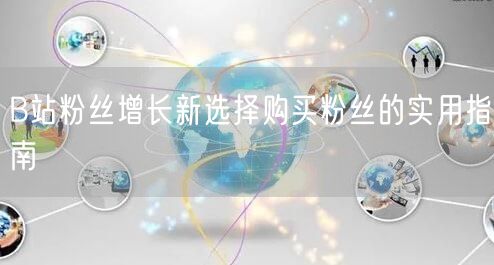 B站粉丝增长新选择购买粉丝的实用指南