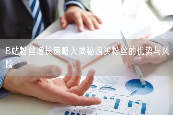 B站粉丝增长策略大揭秘购买粉丝的优势与风险