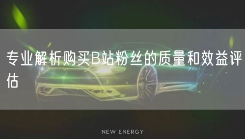 专业解析购买B站粉丝的质量和效益评估