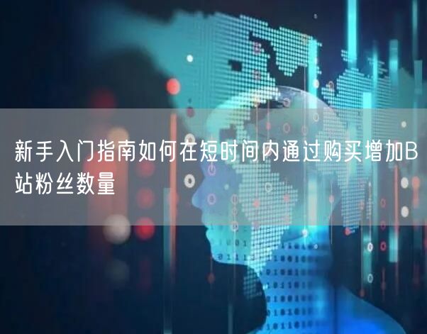 新手入门指南如何在短时间内通过购买增加B站粉丝数量